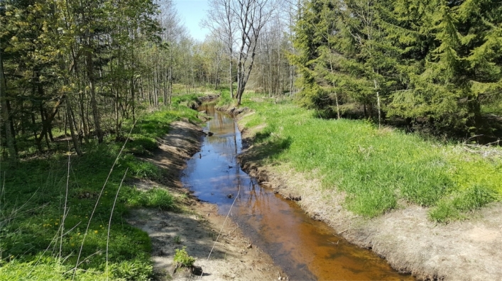 Mniej wody w braniewskich rzekach (+ zdjęcia)
