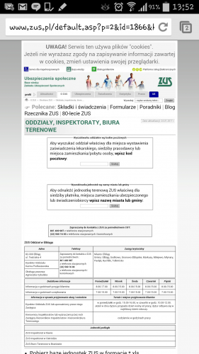 Mobilne wersje stron internetowych w Elblągu nie istnieją. Dlaczego?