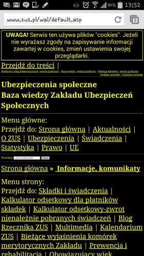Mobilne wersje stron internetowych w Elblągu nie istnieją. Dlaczego?