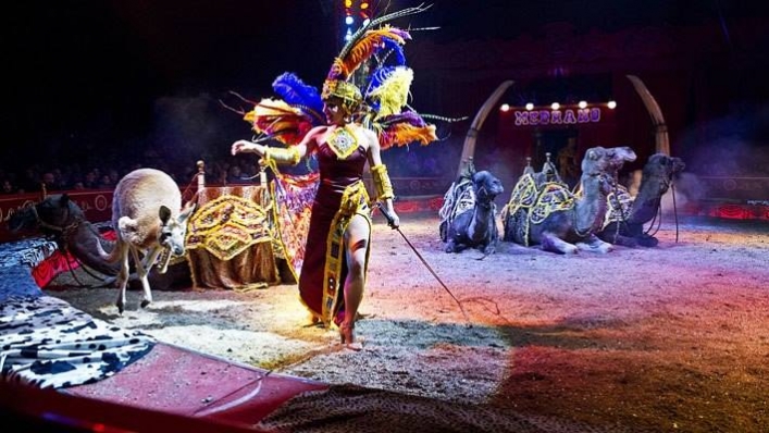 NAJWIĘKSZE I NAJLEPSZE SHOW CYRKOWE W POLSCE !!!