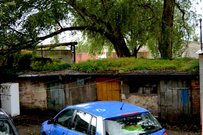 Nasza interwencja. Czytelniczka z ulicy Malborskiej: 