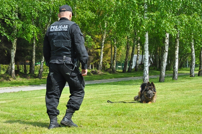 Nie puszczą, dopóki opiekun tego nie rozkaże