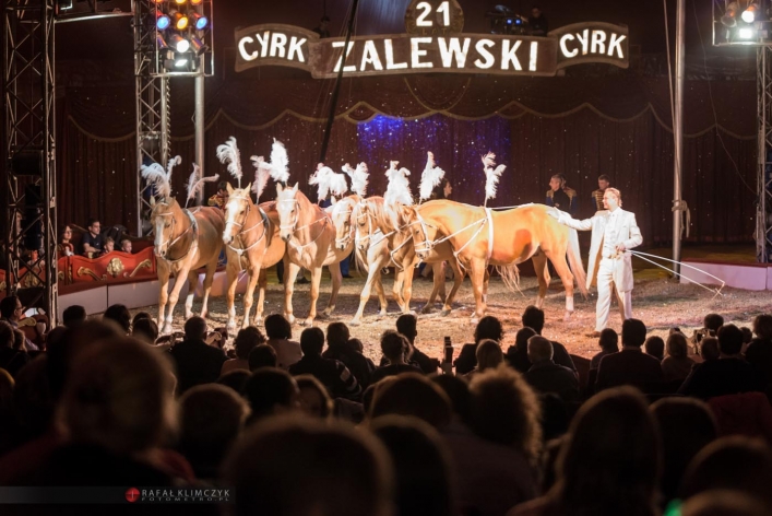 Niedziela w Cyrku Zalewski. Zobacz, co będzie się działo