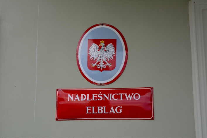 Noc Sów w Nadleśnictwie Elbląg (+ zdjęcia)