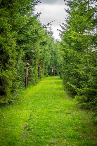 Nowa Holandia – majówka do kwadratu