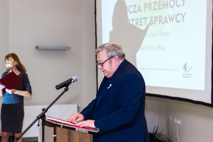 Oblicza przemocy. Portret sprawcy