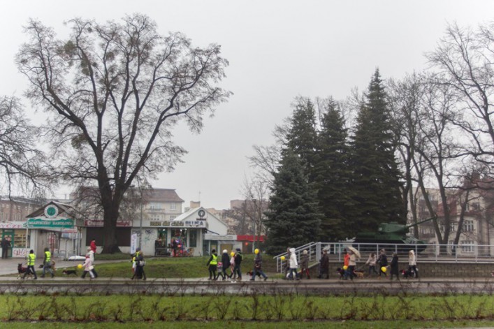 Parada psów przeszła ulicami naszego miasta