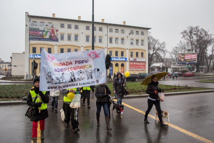 Parada psów przeszła ulicami naszego miasta