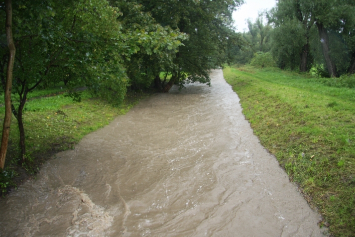 Park Dolinka pod wodą. Kumiela wystąpiła z brzegów