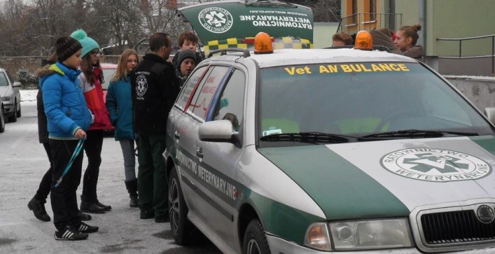 Pierwsze karetki dla zwierząt już działają. Czy będą kolejne?