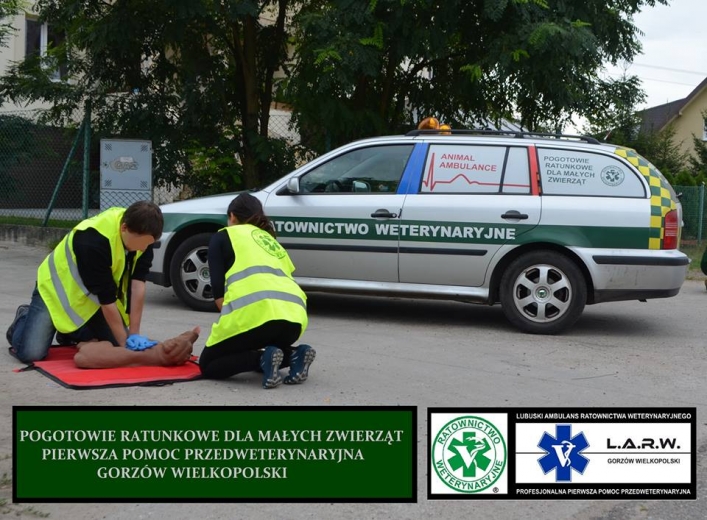 Pierwsze karetki dla zwierząt już działają. Czy będą kolejne?