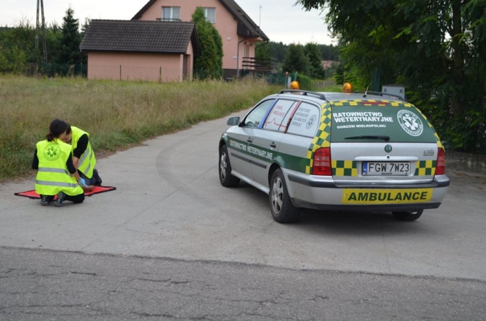 Pierwsze karetki dla zwierząt już działają. Czy będą kolejne?