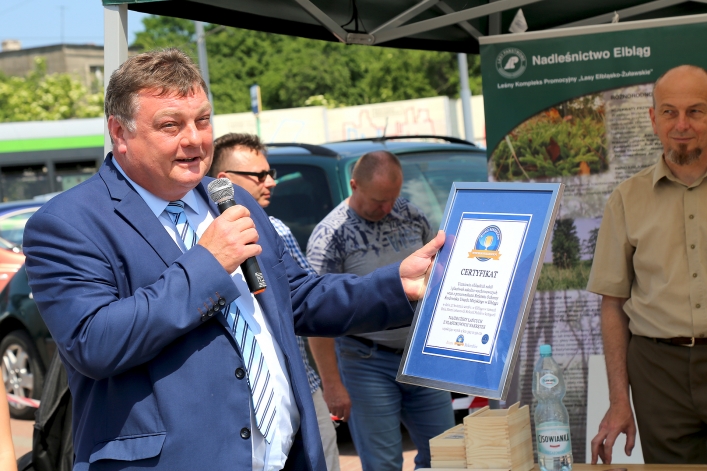 Po Elblągu kursował zielony tramwaj