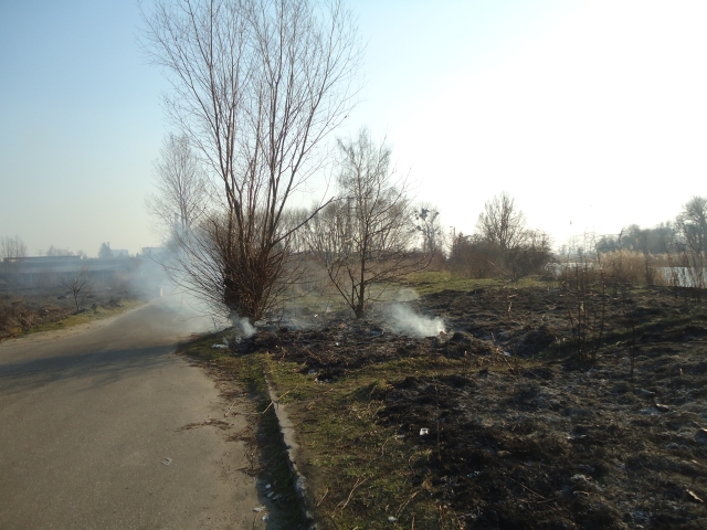 Podpalili trawy i śmieci przy „ciepłej wodzie