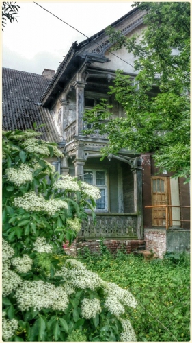 Podziwiali 