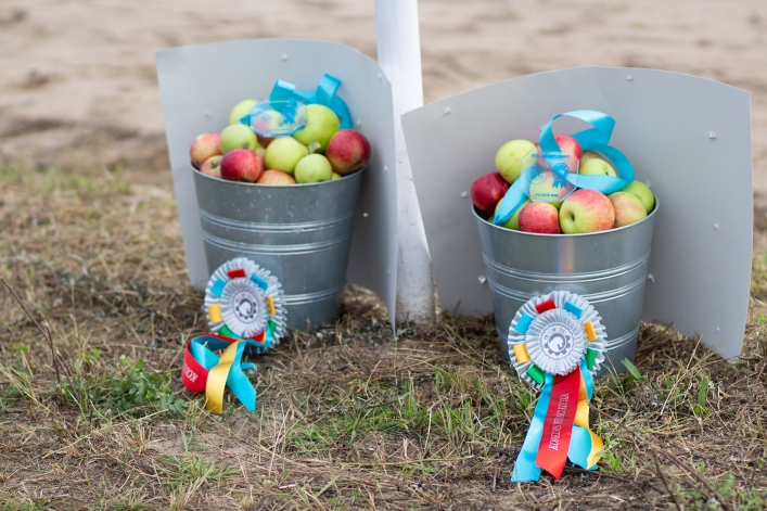 Pony Cup 2018 Lipnik