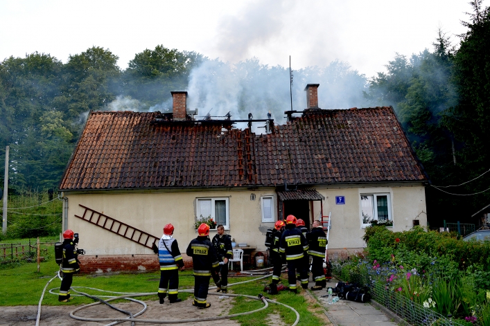 Pożar w Bażantarni. Życie właścicielki uratowały psy