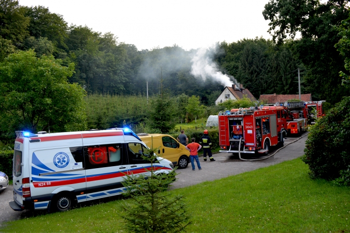 Pożar w Bażantarni. Życie właścicielki uratowały psy
