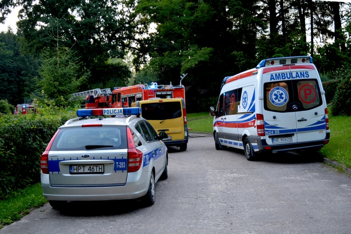 Pożar w Bażantarni. Życie właścicielki uratowały psy