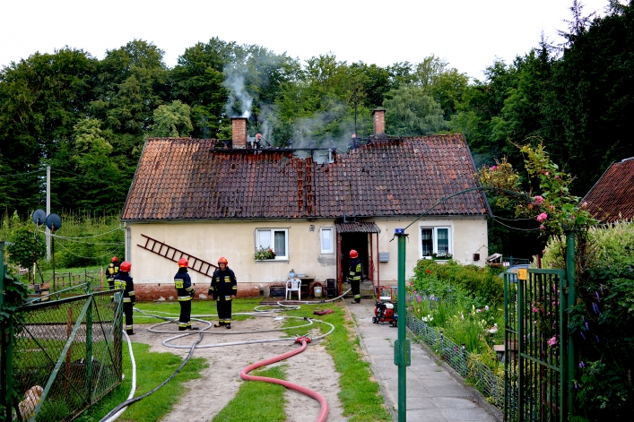 Pożar w Bażantarni. Życie właścicielki uratowały psy