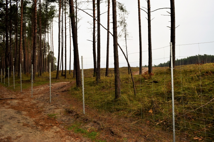 Przekop Mierzei Wiślanej. Powstaje ogrodzenie. Plażą nie przejdziemy już w kierunku Krynicy