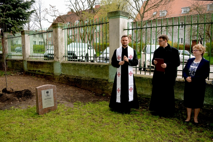 Przy zespole Szkół Pijarskich posadzono Dąb Pamięci (+ zdjęcia)