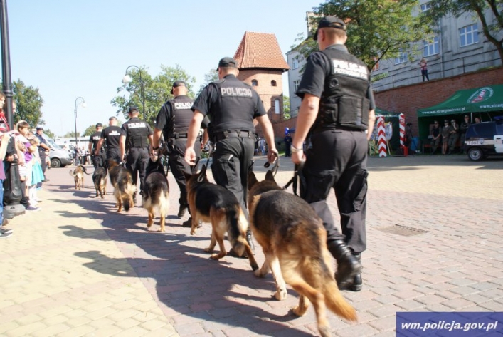 Psy atakowały. Padły strzały
