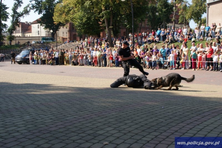 Psy atakowały. Padły strzały