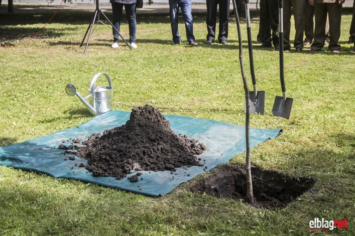 Posadziliśmy Dąb Wolności