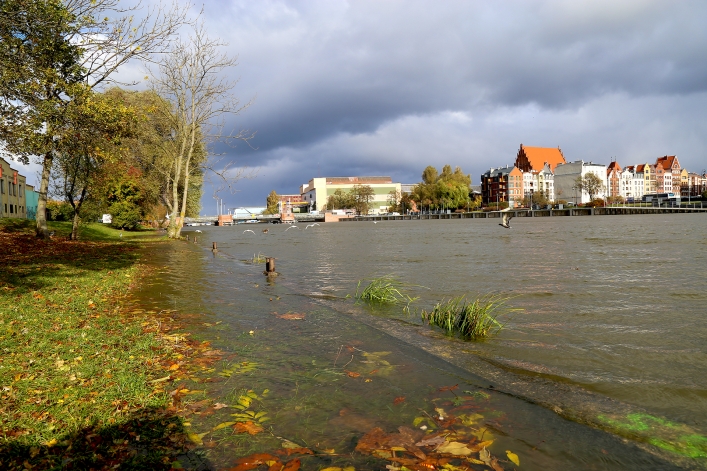 24 X 2018 r. poziom wody w rzece Elbląg przekroczył stan ostrzegawcz