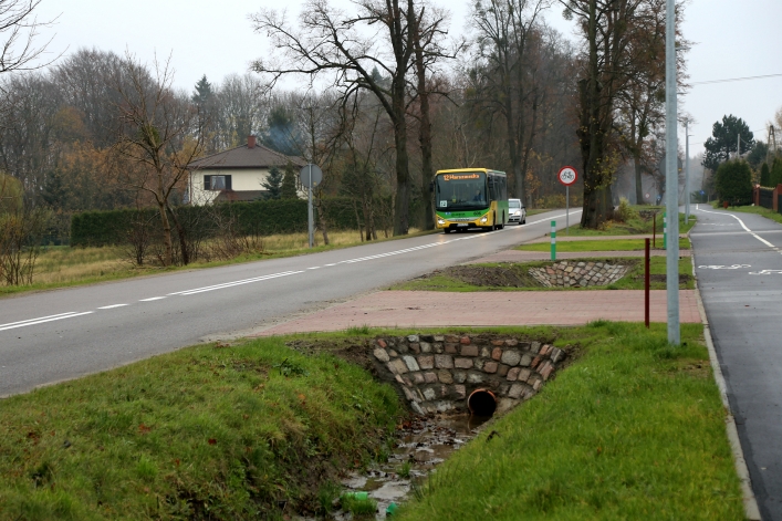 Ścieżka pieszo-rowerowa do Krasnego Lasu. Jakie problemy dostrzegają elblążanie