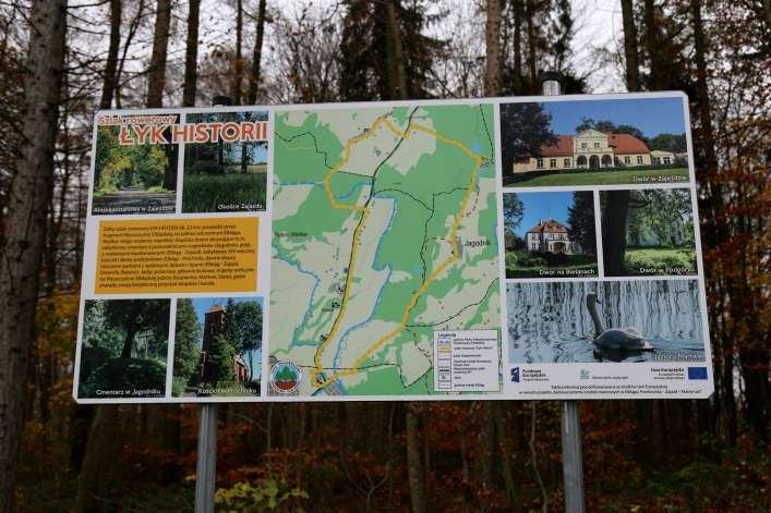 Ścieżka pieszo-rowerowa do Krasnego Lasu. Jakie problemy dostrzegają elblążanie
