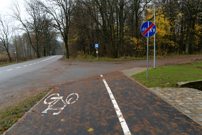 Ścieżka pieszo-rowerowa do Krasnego Lasu. Jakie problemy dostrzegają elblążanie