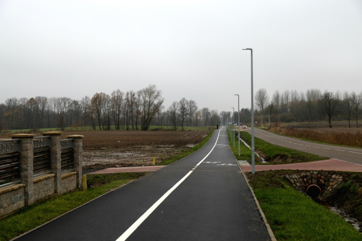 Ścieżka pieszo-rowerowa do Krasnego Lasu. Jakie problemy dostrzegają elblążanie