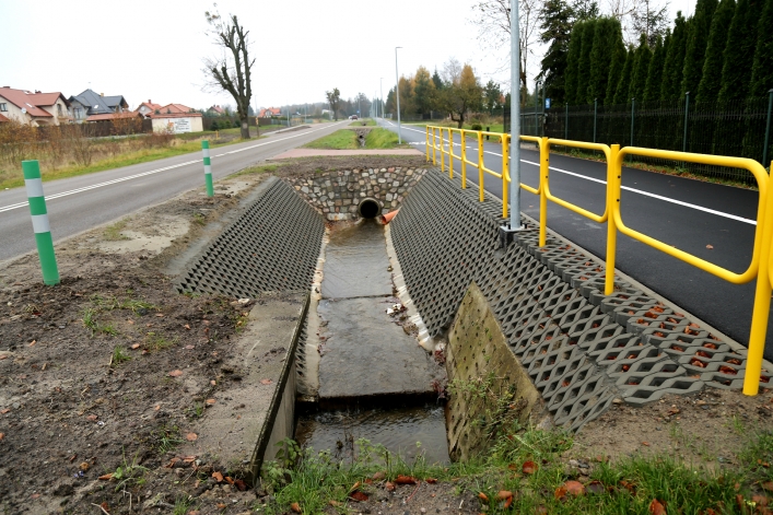 Ścieżka pieszo-rowerowa do Krasnego Lasu. Jakie problemy dostrzegają elblążanie