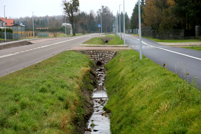 Ścieżka pieszo-rowerowa do Krasnego Lasu. Jakie problemy dostrzegają elblążanie