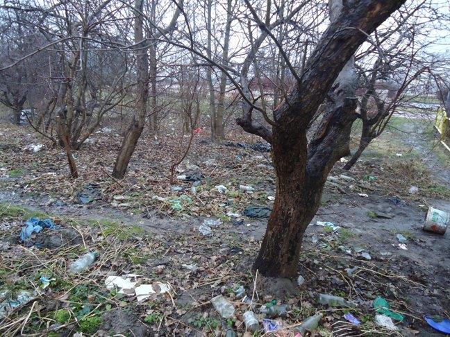 Skąd te śmieci? Jak długo uprzątnięty teren pozostaje czysty?