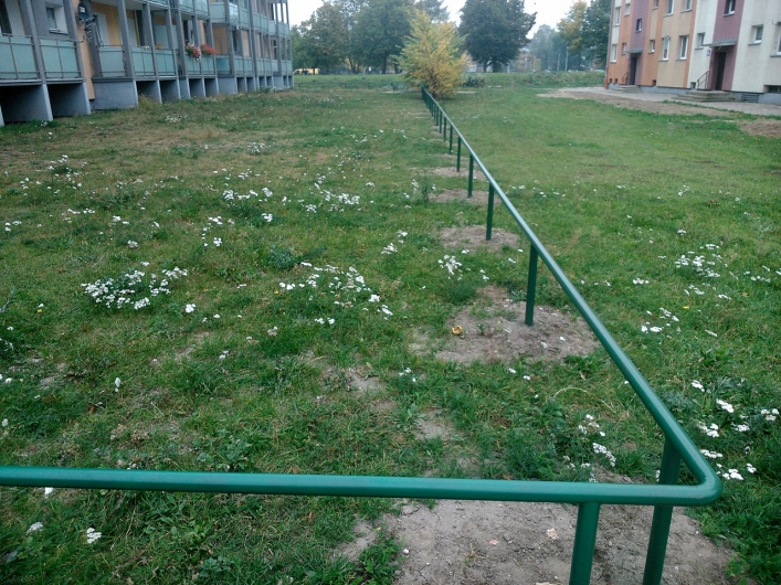 Skok przez płot, czyli ciekawostka z ulicy Mickiewicza