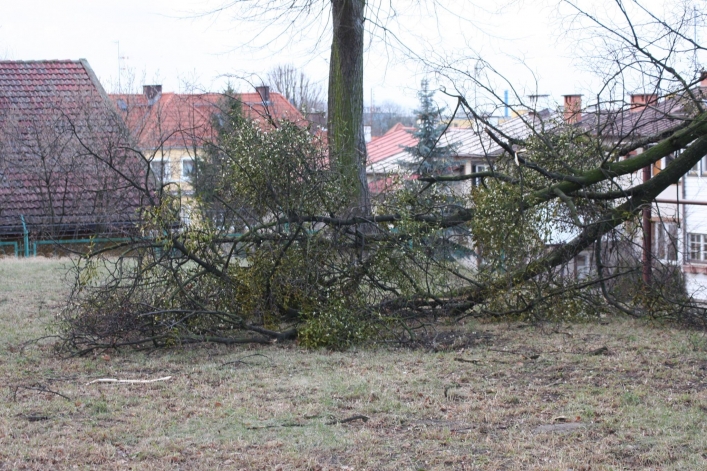 Skutki wczorajszego orkanu - zobacz zdjęcia