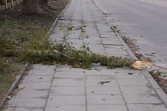 Skutki wczorajszego orkanu - zobacz zdjęcia
