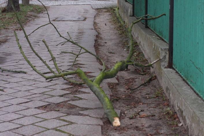 Skutki wczorajszego orkanu - zobacz zdjęcia