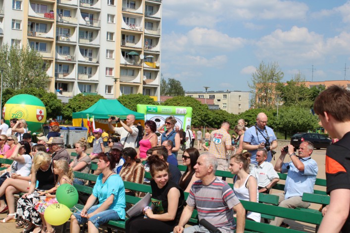 Śmieci za drzewka. VI Elbląskie Dni Recyklingu na Pl. Jagiellończyka