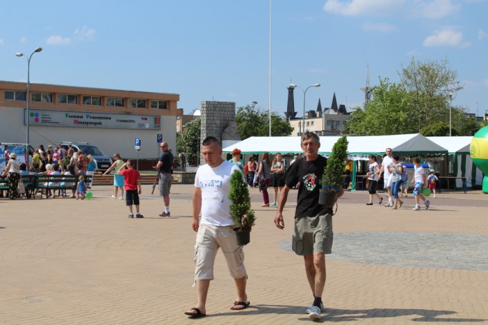 Śmieci za drzewka. VI Elbląskie Dni Recyklingu na Pl. Jagiellończyka