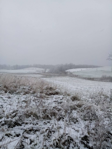 Śnieżnie w listopadzie. W Elblągu i na Wysoczyźnie sypnęło śniegiem