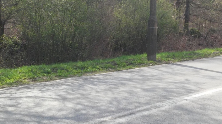 Straż Miejska sprawdzała jak wygląda miasto po akcji „Posesja”