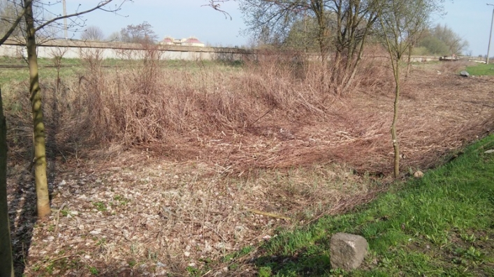 Straż Miejska sprawdzała jak wygląda miasto po akcji „Posesja”
