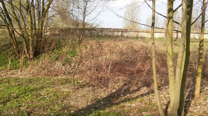 Straż Miejska sprawdzała jak wygląda miasto po akcji „Posesja”