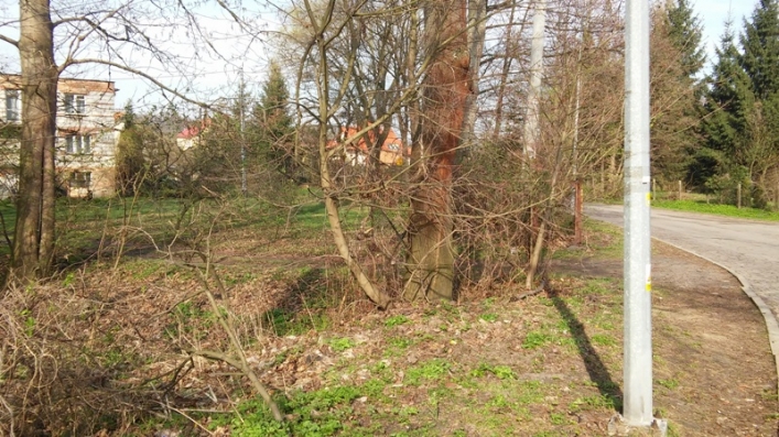 Straż Miejska sprawdzała jak wygląda miasto po akcji „Posesja”