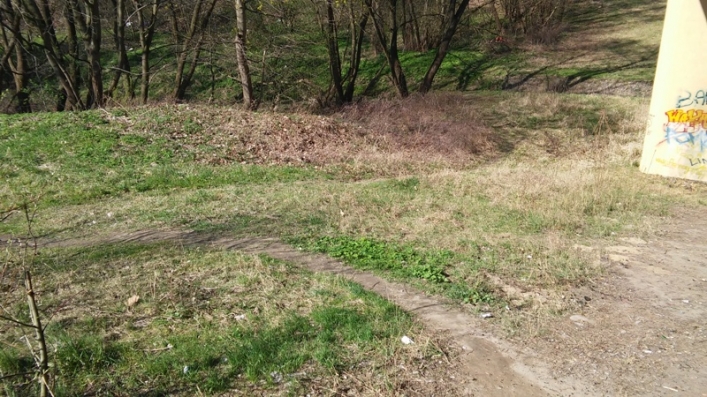 Straż Miejska sprawdzała jak wygląda miasto po akcji „Posesja”