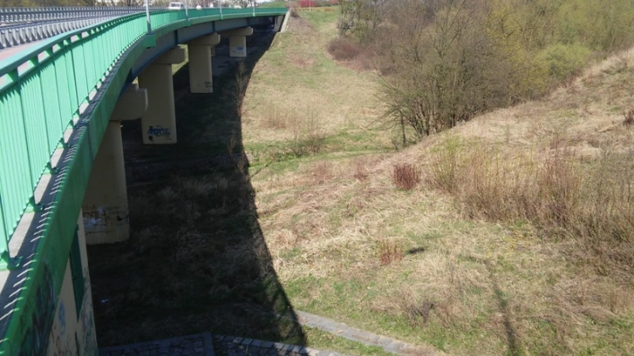 Straż Miejska sprawdzała jak wygląda miasto po akcji „Posesja”